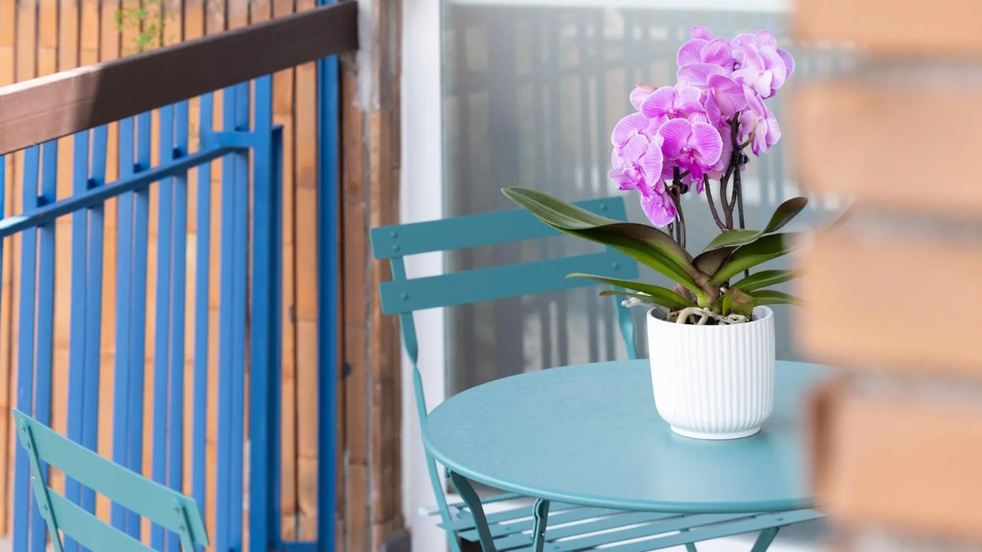 Guest house Zaccardi Roof Garden Hotel Rome