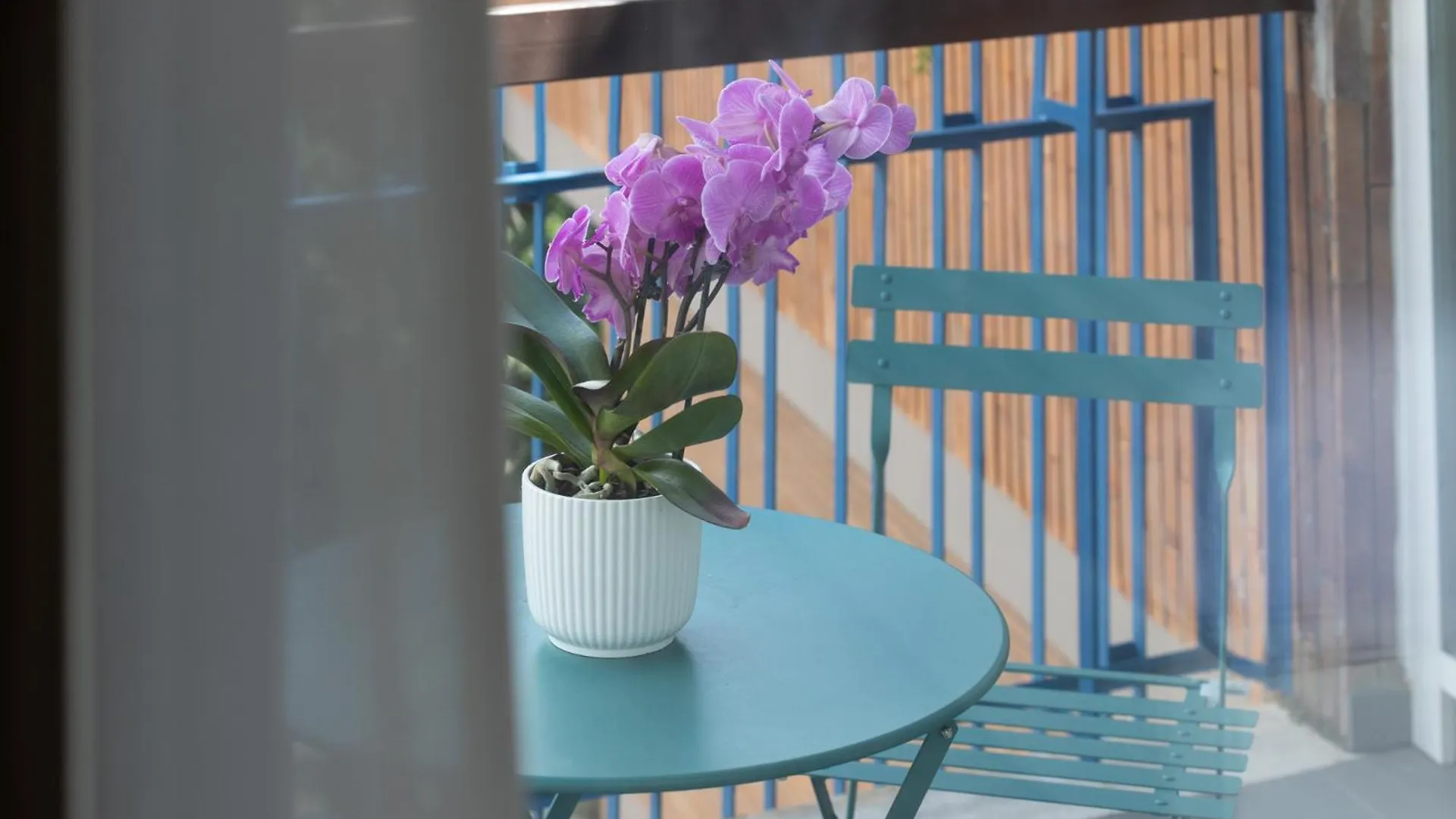 Отель Zaccardi Roof Garden Рим 0*,  Италия