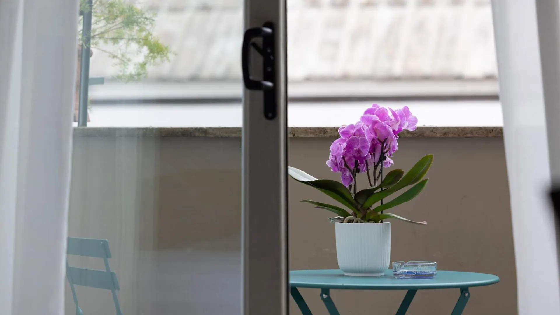 Гостевой дом Отель Zaccardi Roof Garden Рим Италия