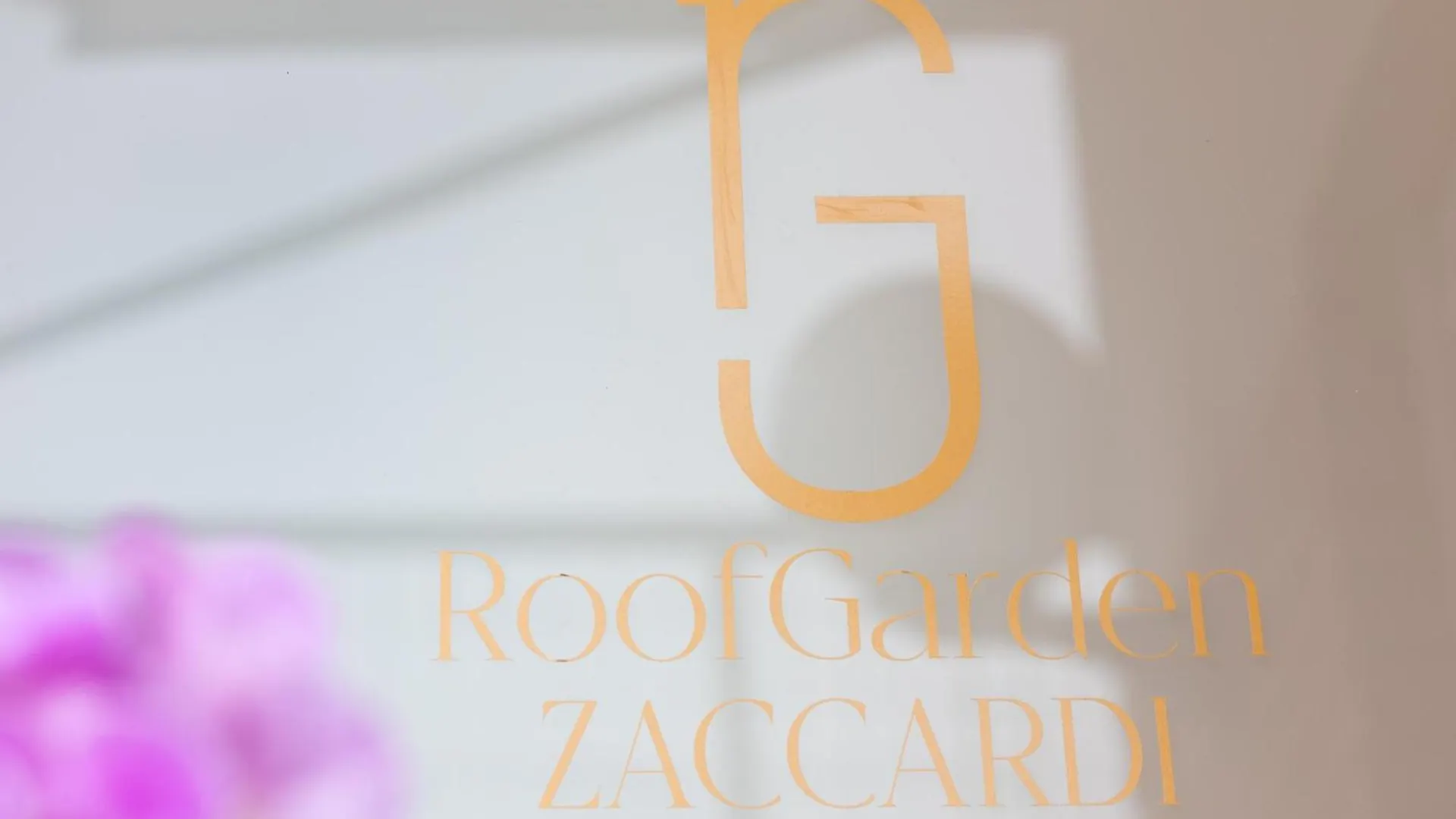 Отель Zaccardi Roof Garden Рим Италия